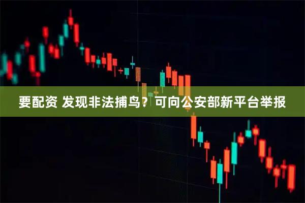 要配资 发现非法捕鸟？可向公安部新平台举报