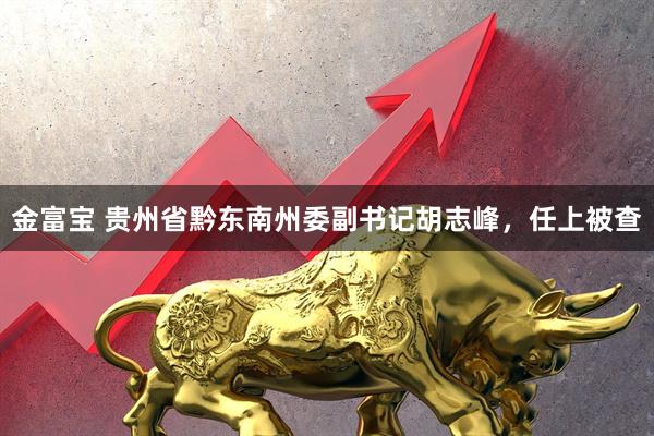 金富宝 贵州省黔东南州委副书记胡志峰,任上被查